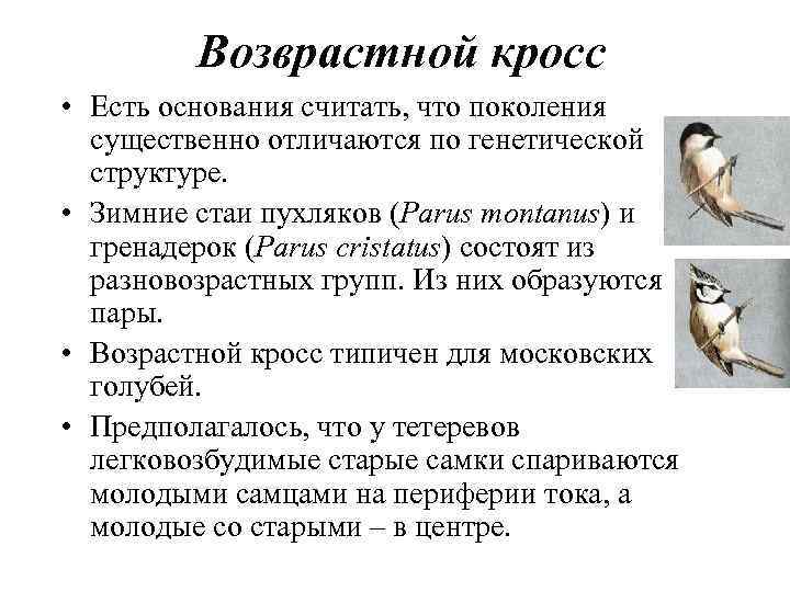 Возврастной кросс • Есть основания считать, что поколения существенно отличаются по генетической структуре. •