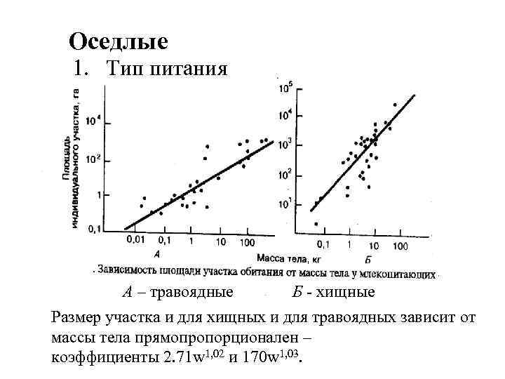Оседлые 1. Тип питания А – травоядные Б - хищные Размер участка и для
