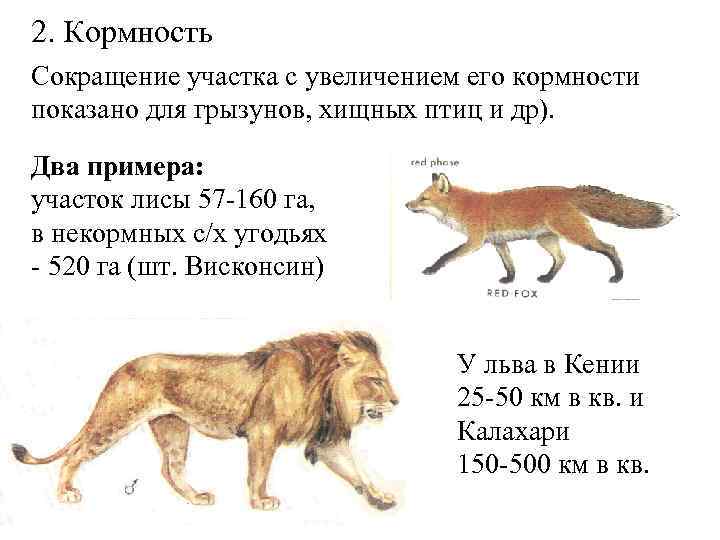 2. Кормность Сокращение участка с увеличением его кормности показано для грызунов, хищных птиц и