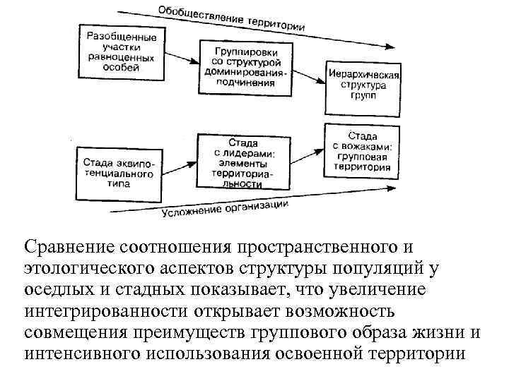 Сравнение соотношения пространственного и этологического аспектов структуры популяций у оседлых и стадных показывает, что