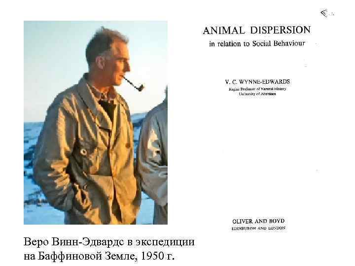  Веро Винн-Эдвардс в экспедиции на Баффиновой Земле, 1950 г. 