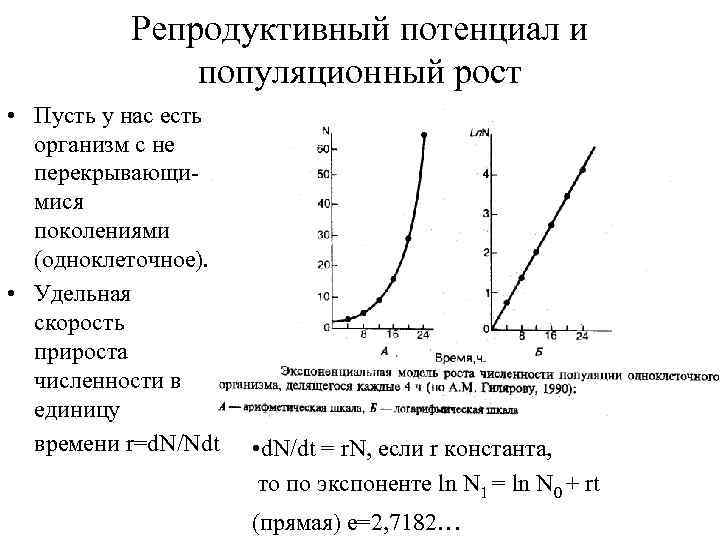Репродуктивный потенциал и популяционный рост • Пусть у нас есть организм с не перекрывающимися