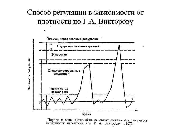 Способ регуляции в зависимости от плотности по Г. А. Викторову 