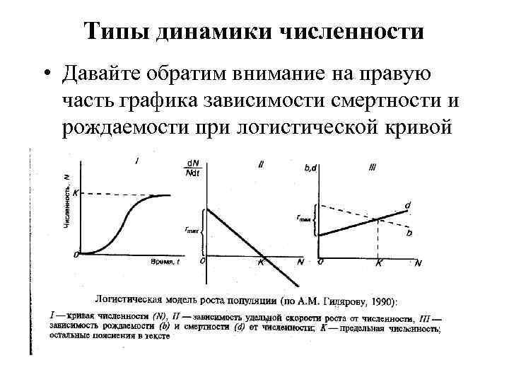 Типы динамики численности • Давайте обратим внимание на правую часть графика зависимости смертности и
