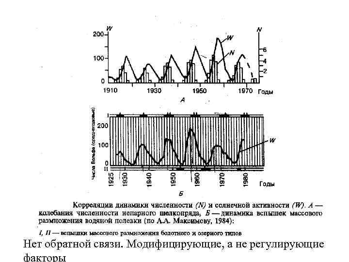 Нет обратной связи. Модифицирующие, а не регулирующие факторы 