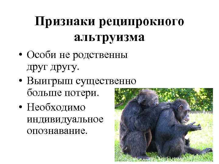Признаки реципрокного альтруизма • Особи не родственны другу. • Выигрыш существенно больше потери. •