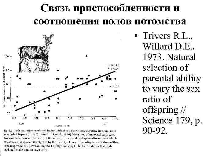 Связь приспособленности и соотношения полов потомства • Trivers R. L. , Willard D. E.