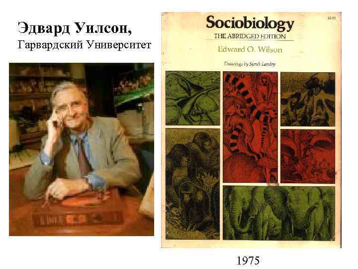 Эдвард Уилсон, Гарвардский Университет 1975 
