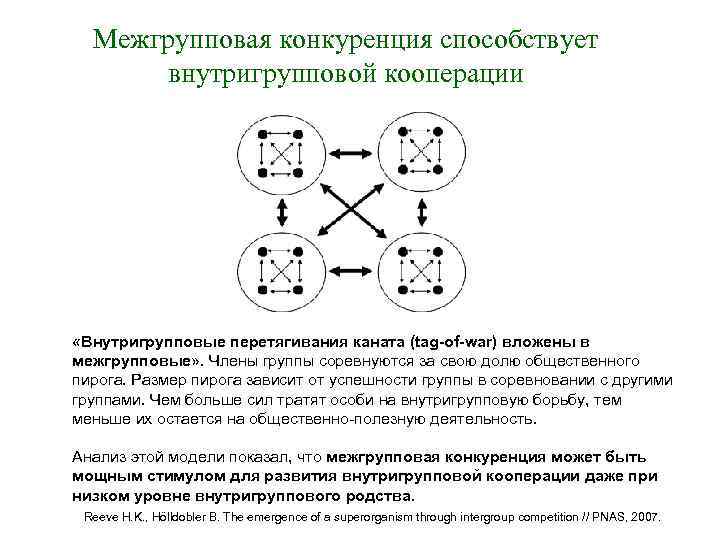 Межгрупповая конкуренция способствует внутригрупповой кооперации «Внутригрупповые перетягивания каната (tag-of-war) вложены в межгрупповые» . Члены