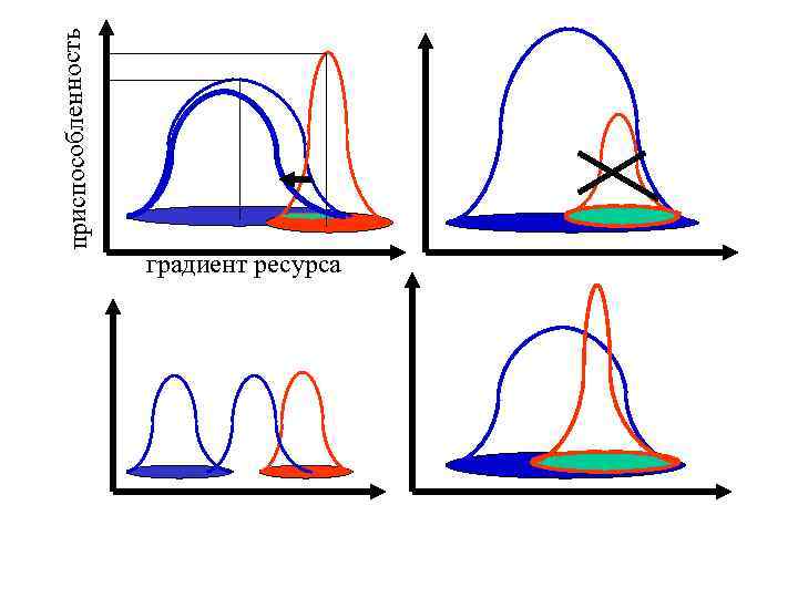 приспособленность градиент ресурса 