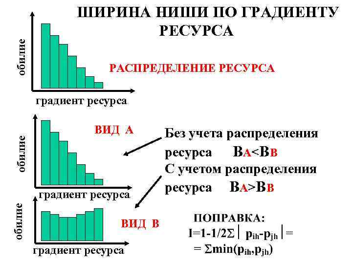 обилие ШИРИНА НИШИ ПО ГРАДИЕНТУ РЕСУРСА РАСПРЕДЕЛЕНИЕ РЕСУРСА обилие градиент ресурса ВИД В градиент