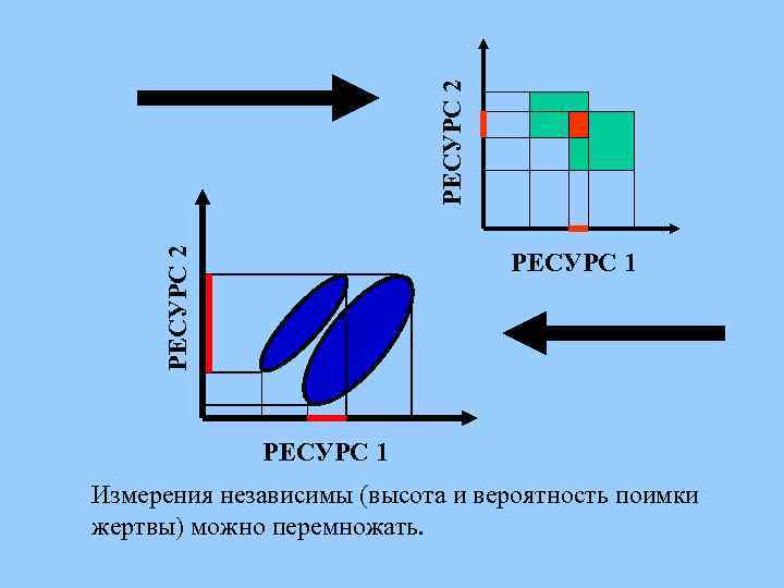 РЕСУРС 2 РЕСУРС 1 Измерения независимы (высота и вероятность поимки жертвы) можно перемножать. 