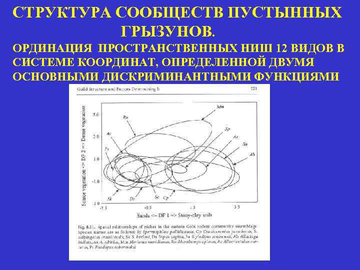 СТРУКТУРА СООБЩЕСТВ ПУСТЫННЫХ ГРЫЗУНОВ. ОРДИНАЦИЯ ПРОСТРАНСТВЕННЫХ НИШ 12 ВИДОВ В СИСТЕМЕ КООРДИНАТ, ОПРЕДЕЛЕННОЙ ДВУМЯ