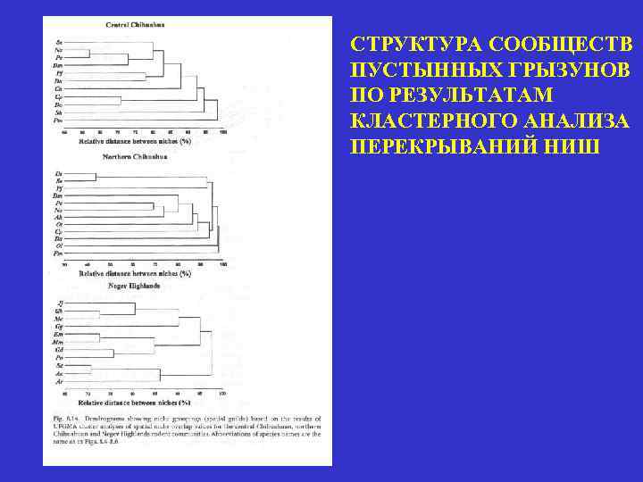 СТРУКТУРА СООБЩЕСТВ ПУСТЫННЫХ ГРЫЗУНОВ ПО РЕЗУЛЬТАТАМ КЛАСТЕРНОГО АНАЛИЗА ПЕРЕКРЫВАНИЙ НИШ 