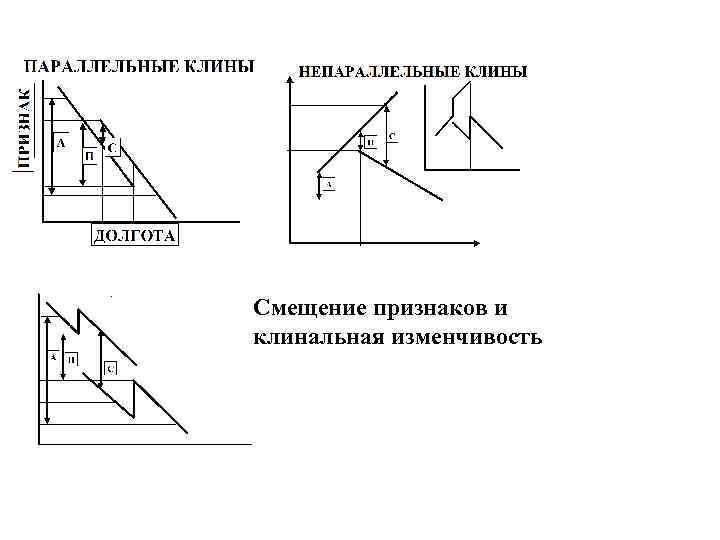 Смещение признаков и клинальная изменчивость 