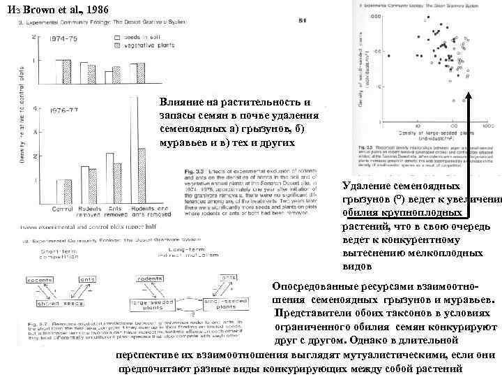 Из Brown et al. , 1986 Влияние на растительность и запасы семян в почве