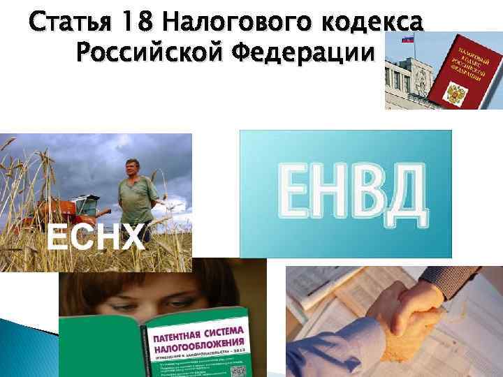 Статья 18 Налогового кодекса Российской Федерации 