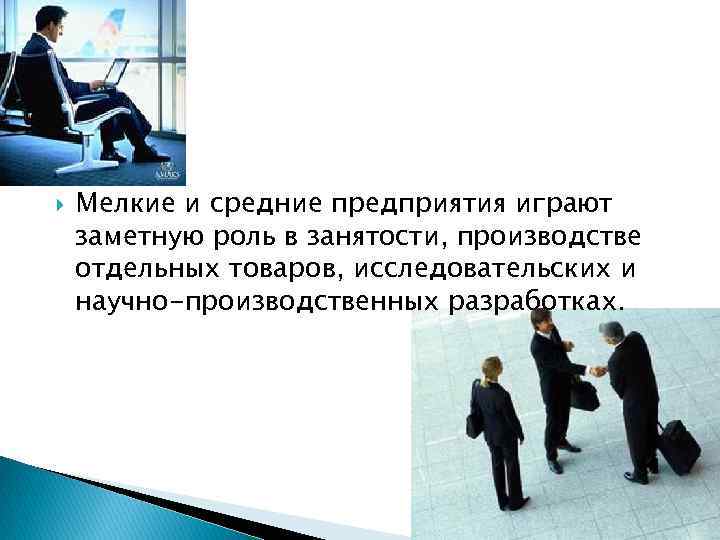  Мелкие и средние предприятия играют заметную роль в занятости, производстве отдельных товаров, исследовательских