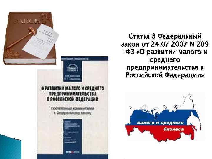 Статья 3 Федеральный закон от 24. 07. 2007 N 209 -ФЗ «О развитии малого