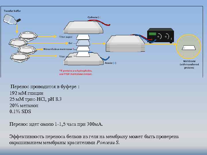 Электрофорез с диклофенаком методика и полярность схема