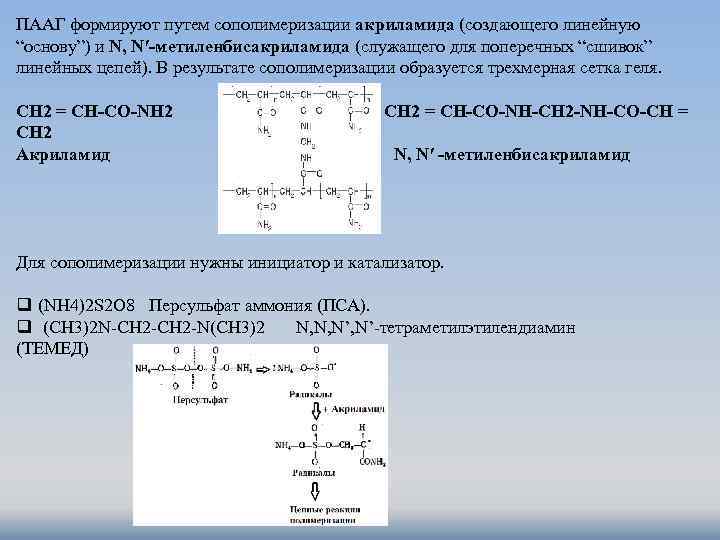 ПААГ формируют путем сополимеризации акриламида (создающего линейную “основу”) и N, N′-метиленбисакриламида (служащего для поперечных