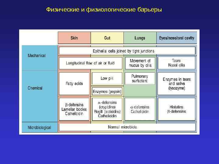 Физические и физиологические барьеры 