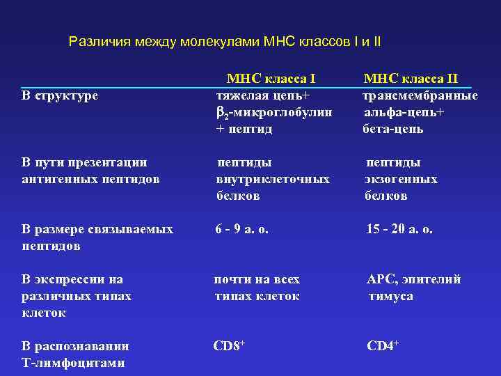 Различия между молекулами MHC классов I и II MHC класса I тяжелая цепь+ b