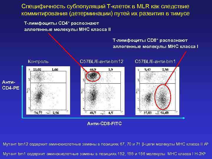 Специфичность субпопуляций Т-клеток в MLR как следствие коммитирования (детерминации) путей их развития в тимусе