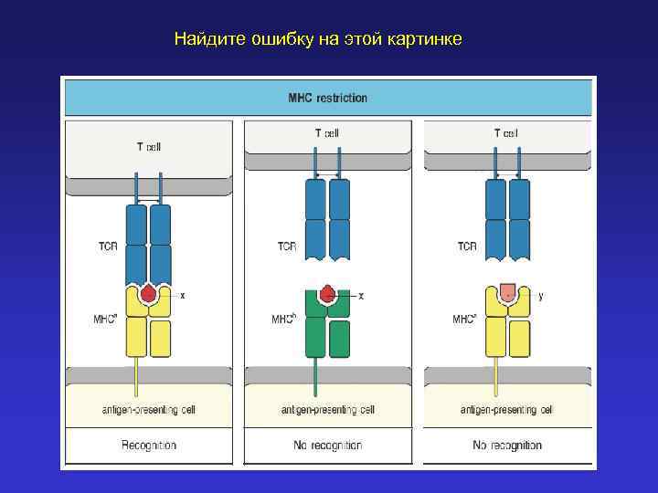 Найдите ошибку на этой картинке 