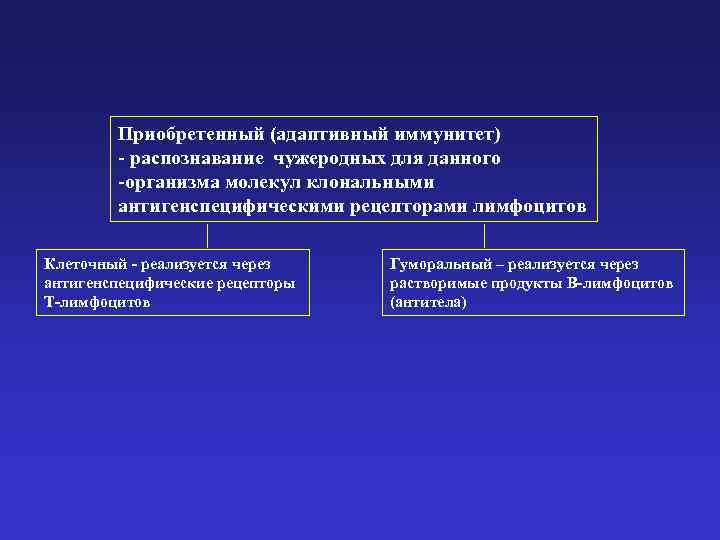 Приобретенный (адаптивный иммунитет) - распознавание чужеродных для данного -организма молекул клональными антигенспецифическими рецепторами лимфоцитов