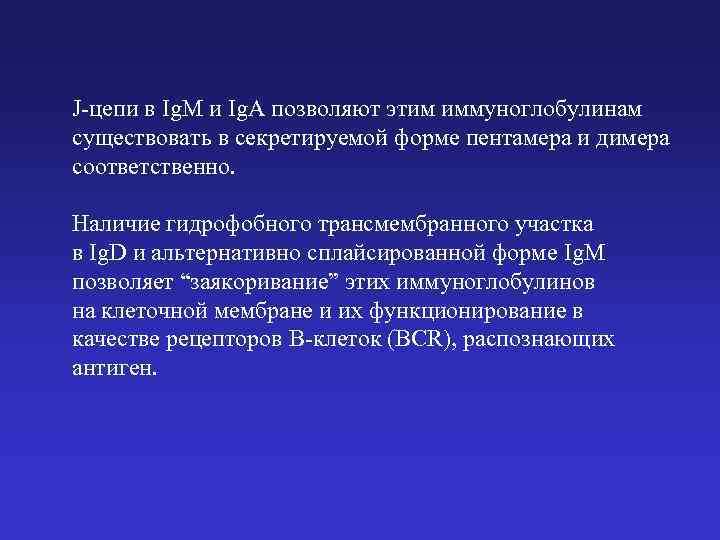 J-цепи в Ig. M и Ig. A позволяют этим иммуноглобулинам существовать в секретируемой форме