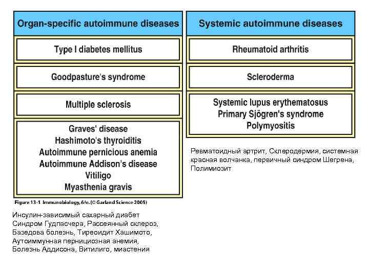 Ревматоидный артрит, Склеродермия, системная красная волчанка, первичный синдром Шегрена, Полимиозит Инсулин-зависимый сахарный диабет Синдром