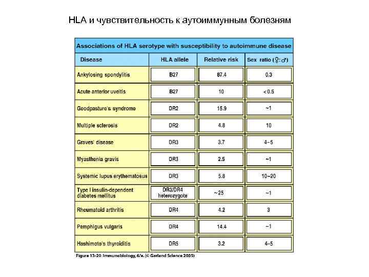 HLA и чувствительность к аутоиммунным болезням 