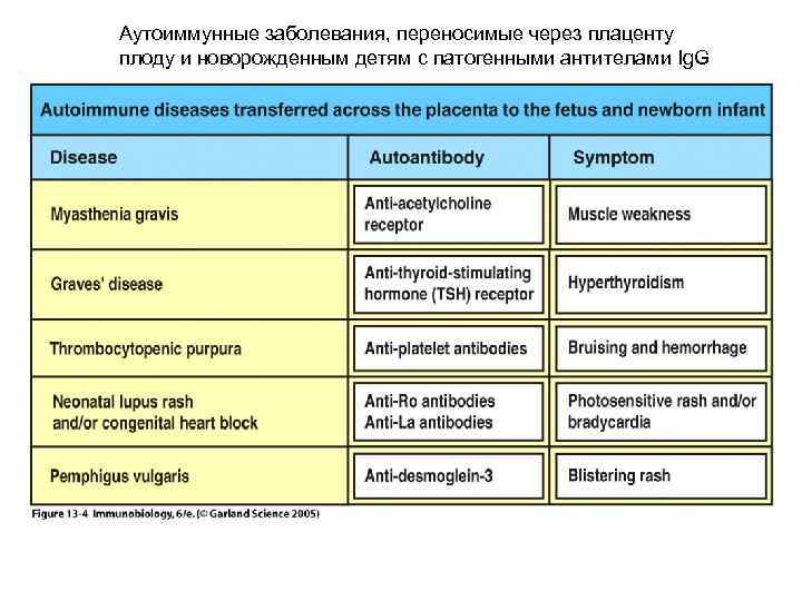 Аутоиммунные заболевания, переносимые через плаценту плоду и новорожденным детям с патогенными антителами Ig. G
