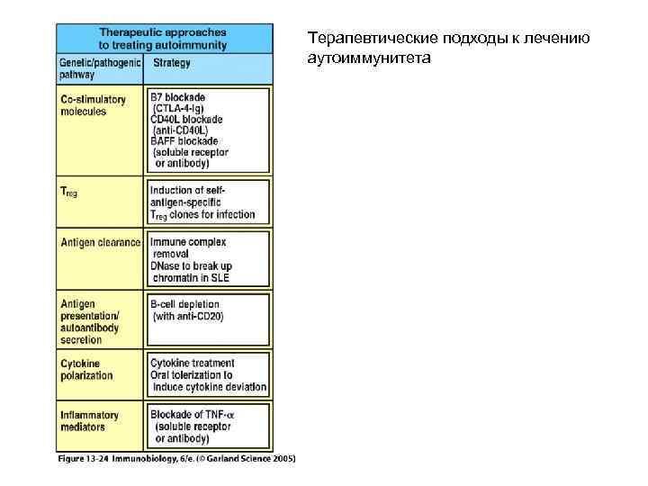 Терапевтические подходы к лечению аутоиммунитета 