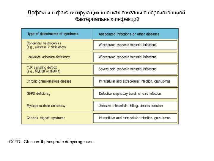 Дефекты в фагоцитирующих клетках связаны с персистенцией бактериальных инфекций G 6 PD - Glucose-6