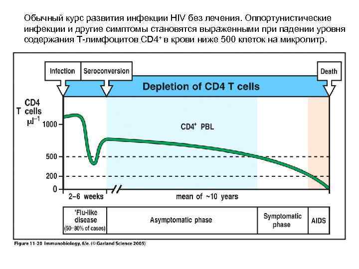 Обычный курс развития инфекции HIV без лечения. Оппортунистические инфекции и другие симптомы становятся выраженными