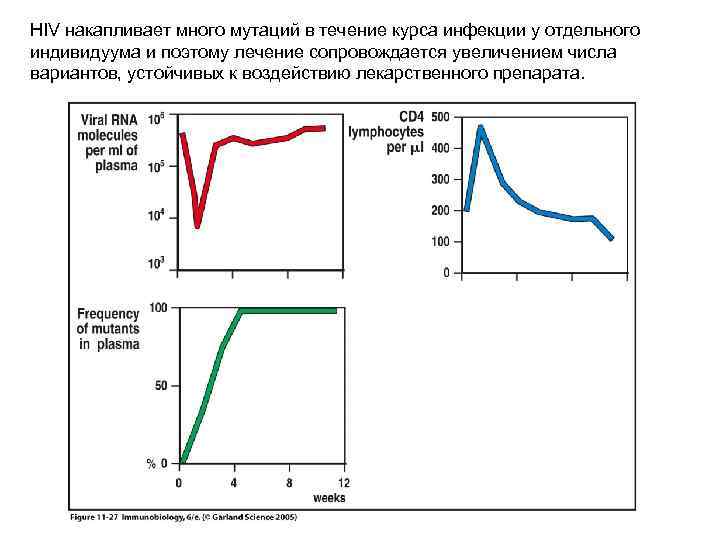 HIV накапливает много мутаций в течение курса инфекции у отдельного индивидуума и поэтому лечение
