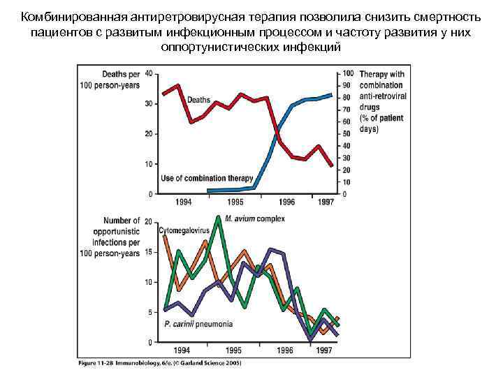 Комбинированная антиретровирусная терапия позволила снизить смертность пациентов с развитым инфекционным процессом и частоту развития