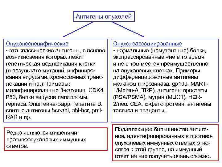 Антигены опухолей Опухолеспецифические - это классические антигены, в основе возникновения которых лежит генетическая модификация