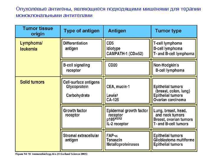 Опухолевые антигены, являющиеся подходящими мишенями для терапии моноклональными антителами 