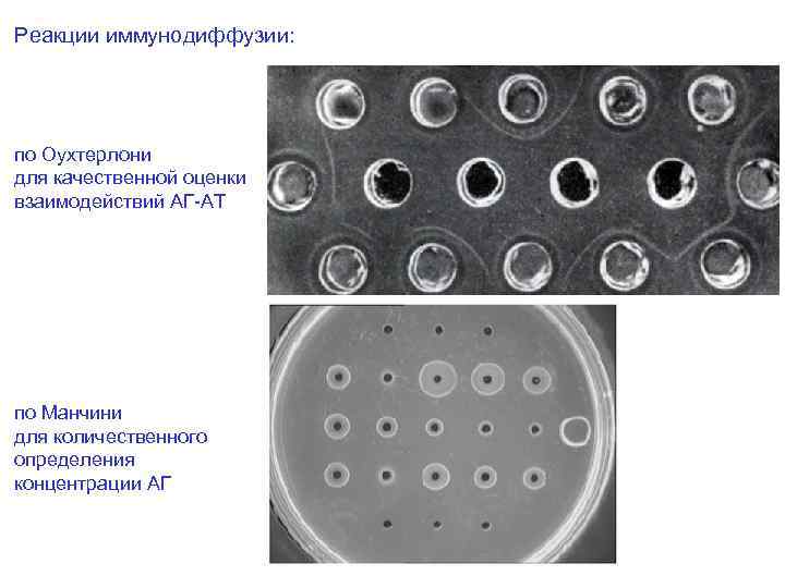 Реакции иммунодиффузии: по Оухтерлони для качественной оценки взаимодействий АГ-АТ по Манчини для количественного определения