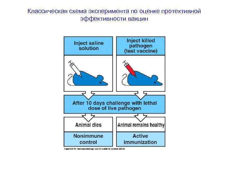 Что такое схема эксперимента