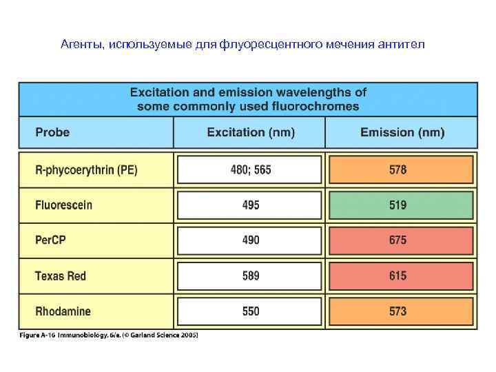Агенты, используемые для флуоресцентного мечения антител 