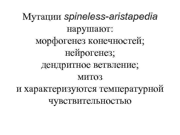 Мутации spineless-aristapedia нарушают: морфогенез конечностей; нейрогенез; дендритное ветвление; митоз и характеризуются температурной чувствительностью 