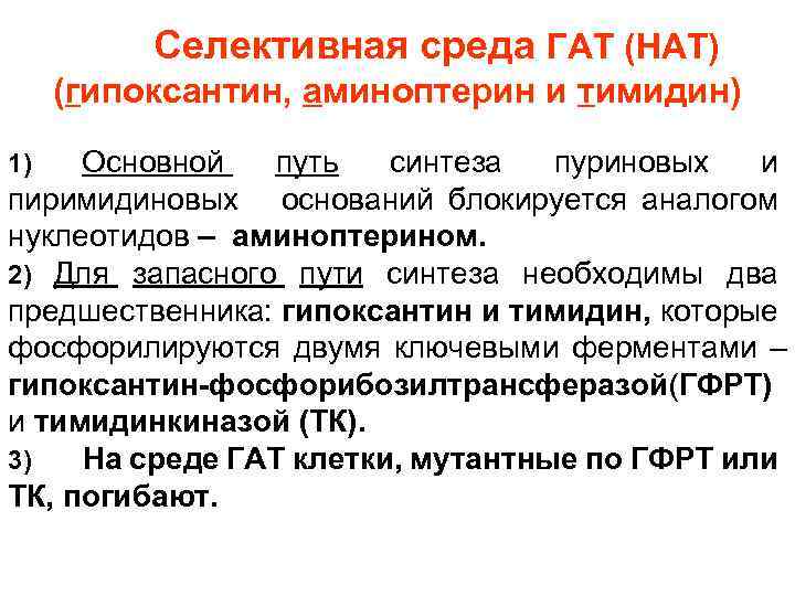  Селективная среда ГAT (НАТ) (гипоксантин, аминоптерин и тимидин) Основной путь синтеза пуриновых и
