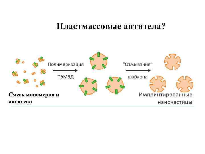 Пластмассовые антитела? Смесь мономеров и антигена 