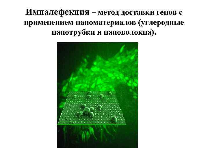 Импалефекция – метод доставки генов с применением наноматериалов (углеродные нанотрубки и нановолокна). 