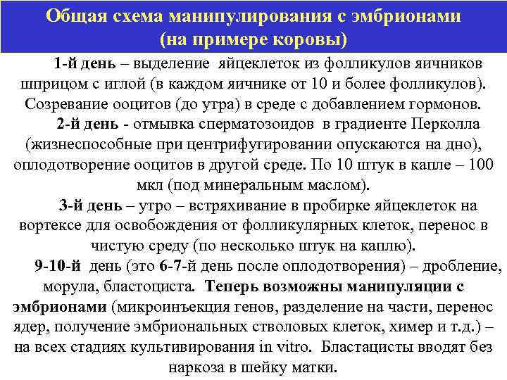 Общая схема манипулирования с эмбрионами (на примере коровы) 1 -й день – выделение яйцеклеток