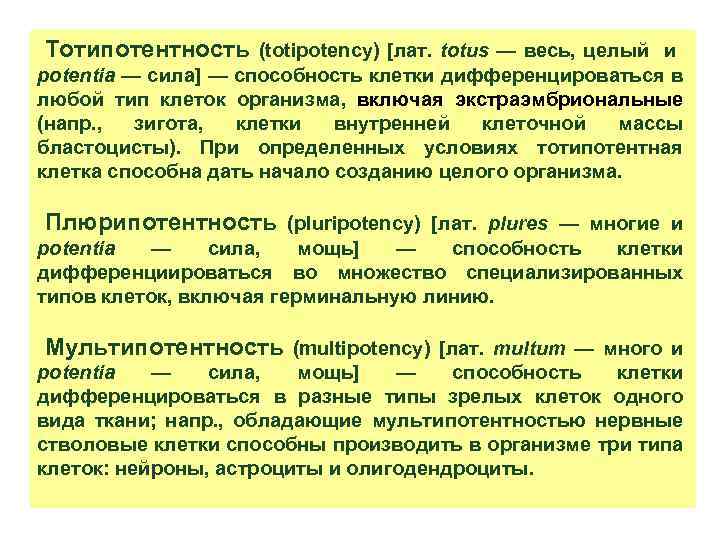 Тотипотентность (totipotency) [лат. totus — весь, целый и potentia — сила] — способность клетки